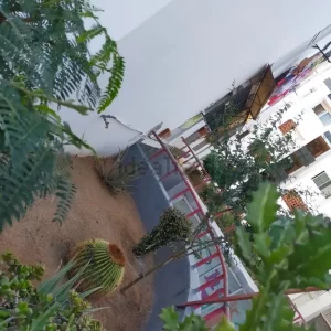 Alquiler de Local en plaza del Hierro s/n