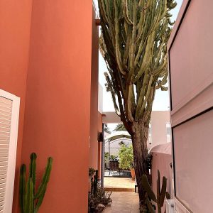 Bungalow Europlaya Club