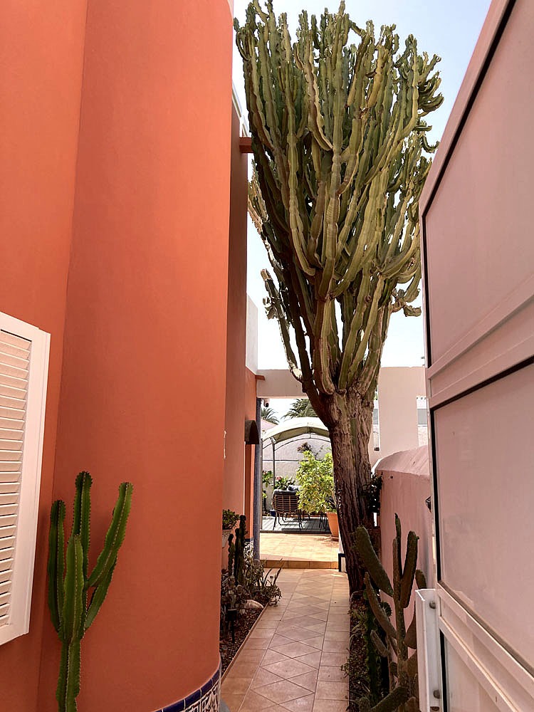 Bungalow Europlaya Club