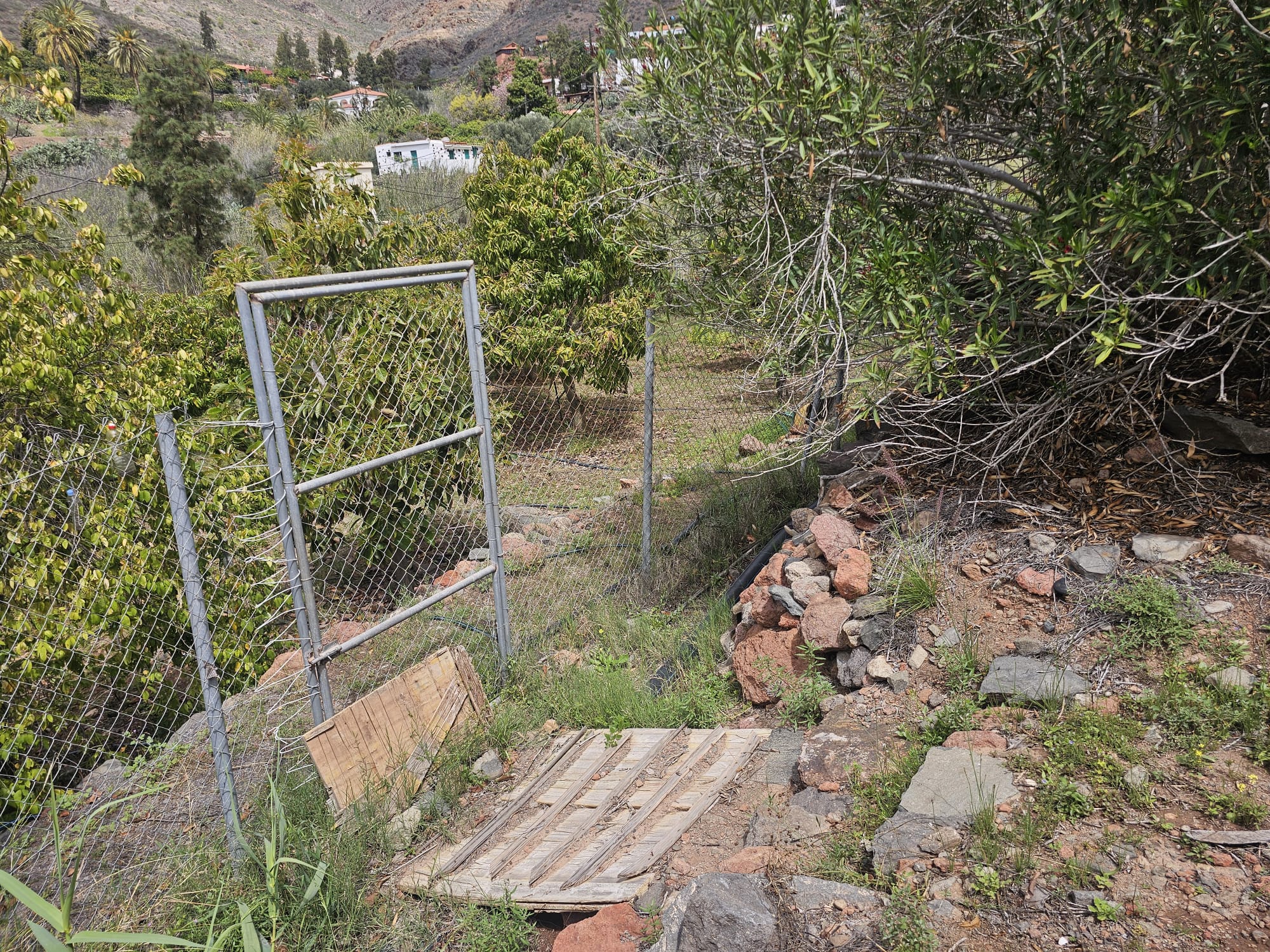 Terreno en Barranco de Ayagaures - Imagen 11
