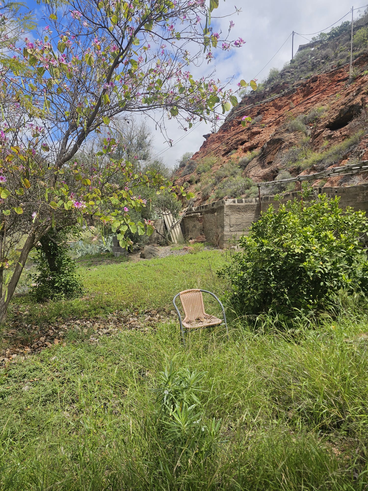 Terreno en Barranco de Ayagaures - Imagen 5